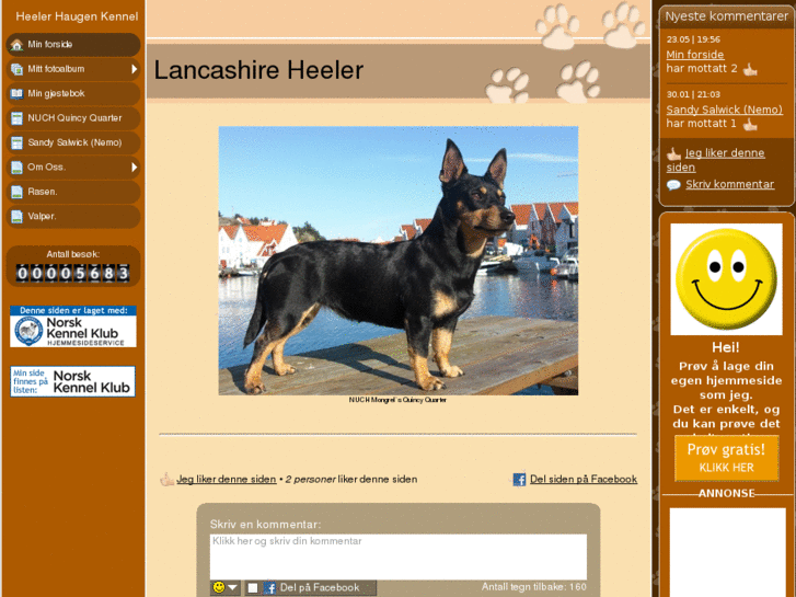 www.heelerhaugenkennel.com