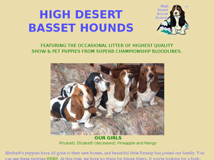 www.highdesertbassethounds.com