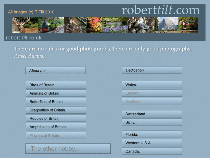 www.roberttilt.com