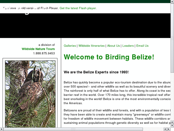 www.birdingbelize.com