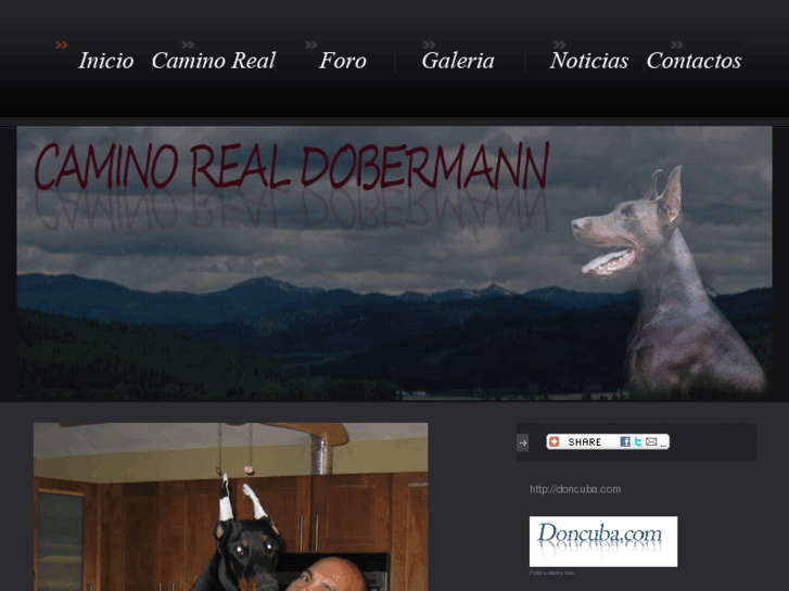 www.caminorealdobermann.com