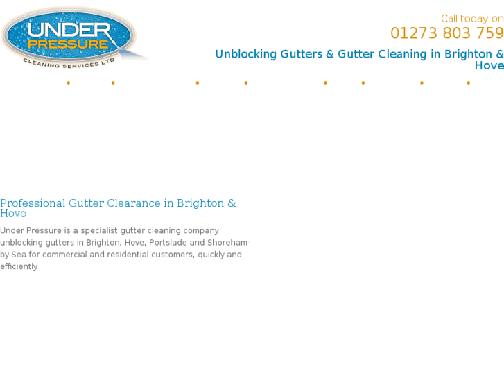 www.guttercleaning-brighton.co.uk