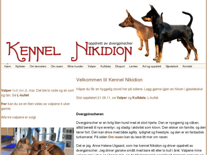 www.nikidion.org