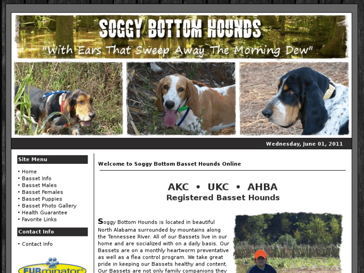 www.soggybottomhounds.com