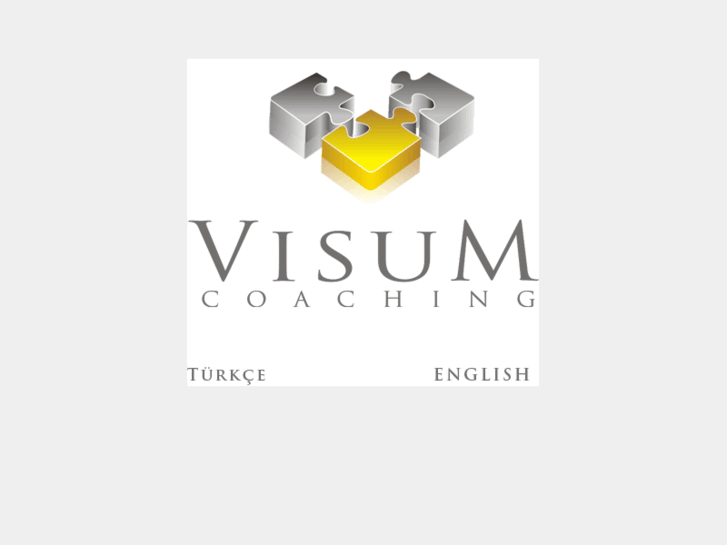 www.visumcoaching.com