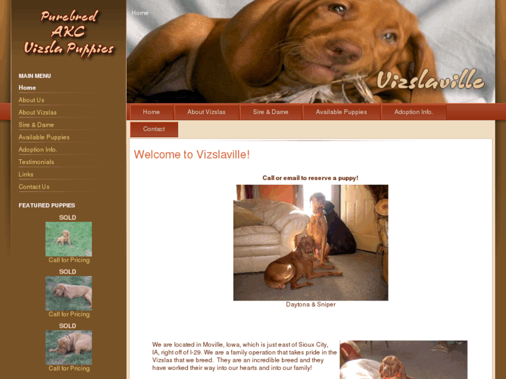 www.vizslaville.com