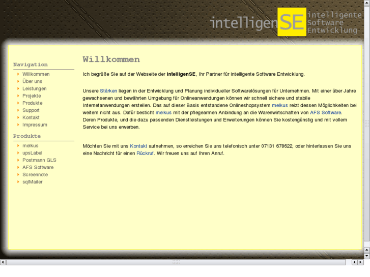 www.intelligense.de