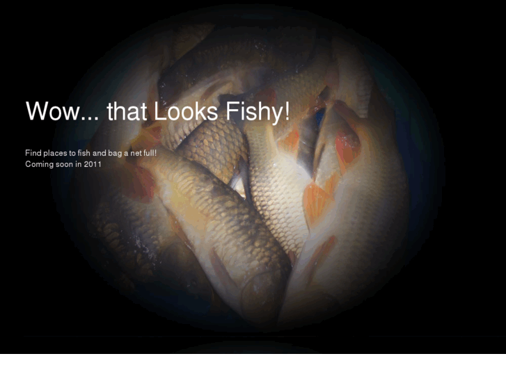 www.looksfishy.co.uk