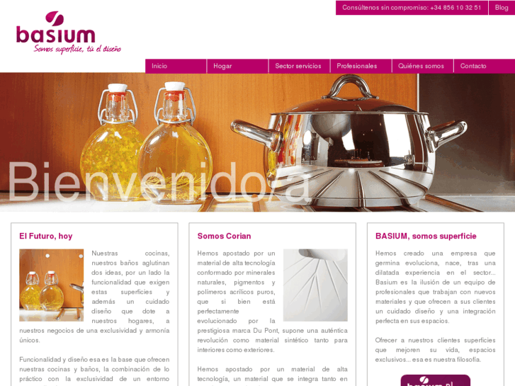 www.basium.es