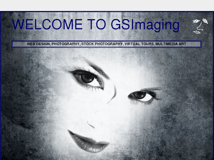 www.gsimaging.com