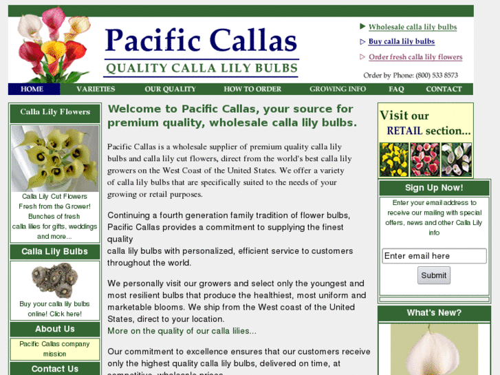 www.pacificcallas.com