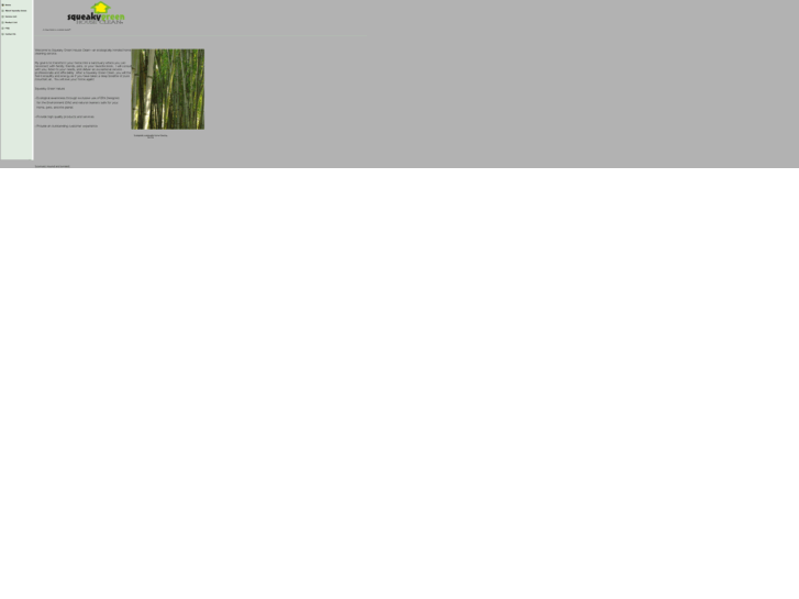 www.squeakygreenhouseclean.com