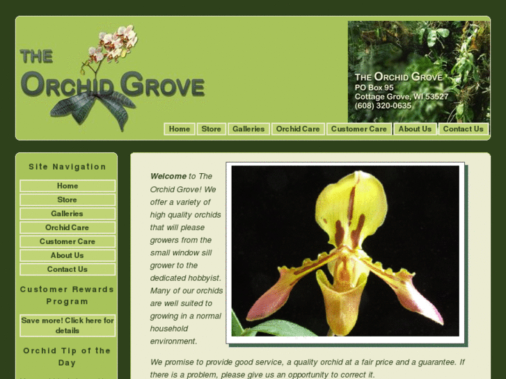 www.theorchidgrove.com