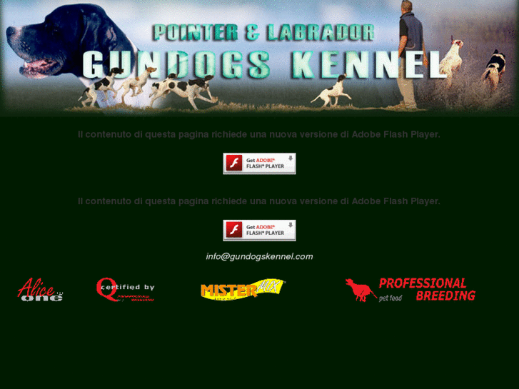 www.gundogskennel.com