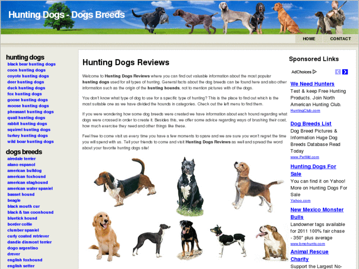 www.huntingdogsreviews.com