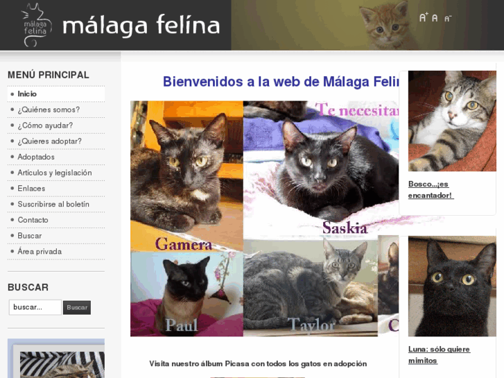 www.malagafelina.com