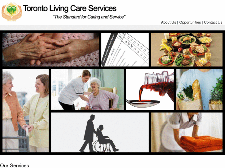 www.torontolivingcareservices.com