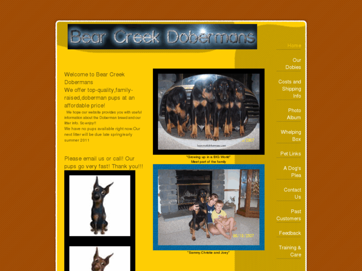 www.bearcreekdobermans.com