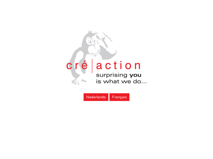 www.cre-action.com