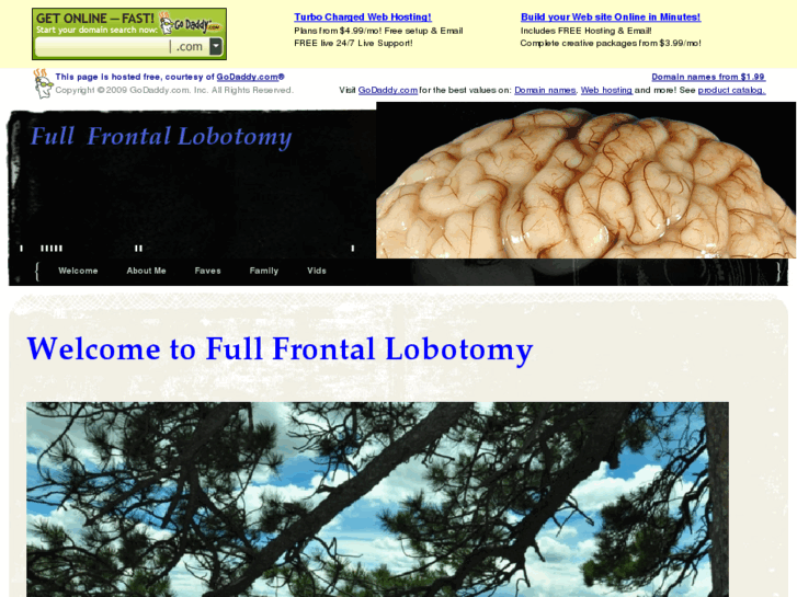 www.fullfrontallobotomy.com