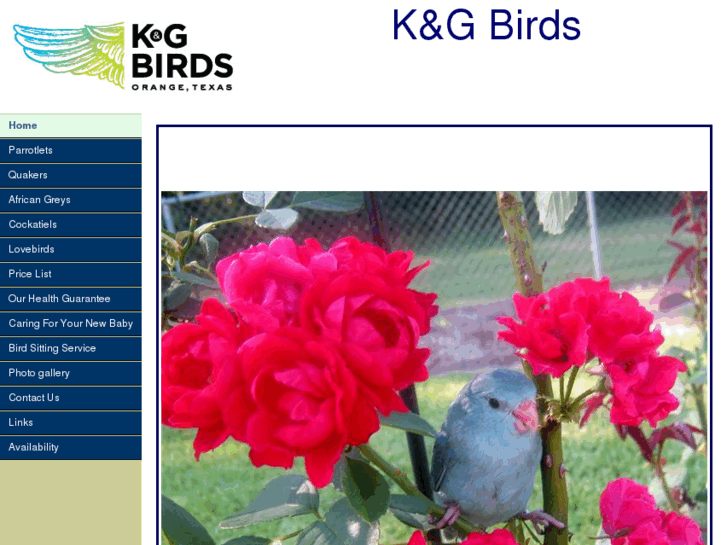 www.kandgbirds.com