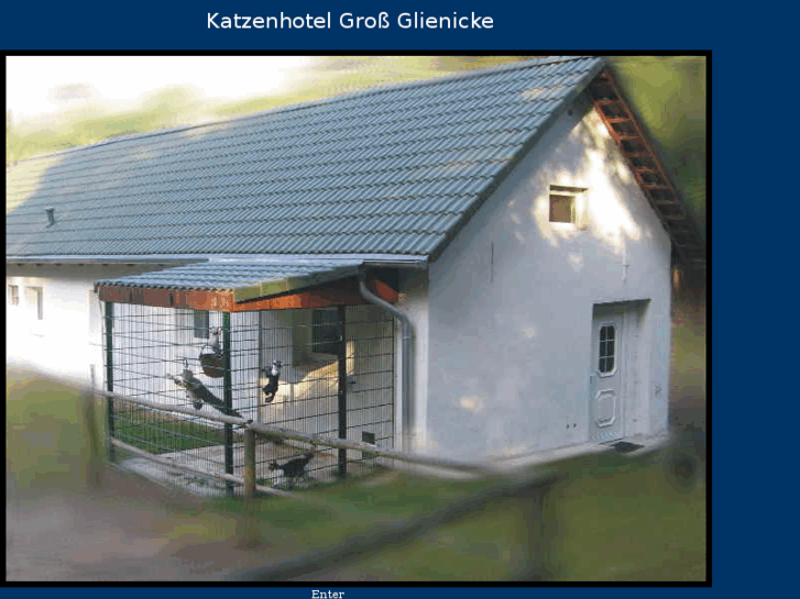 www.katzenhotel.org