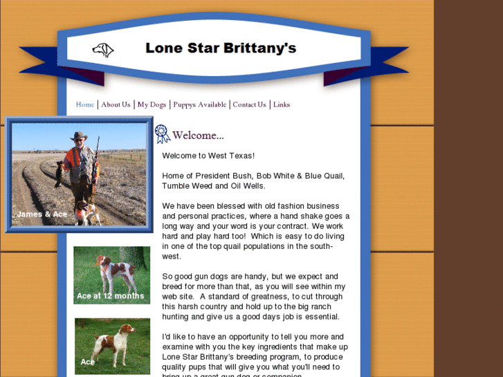 www.lonestarbrittanys.com