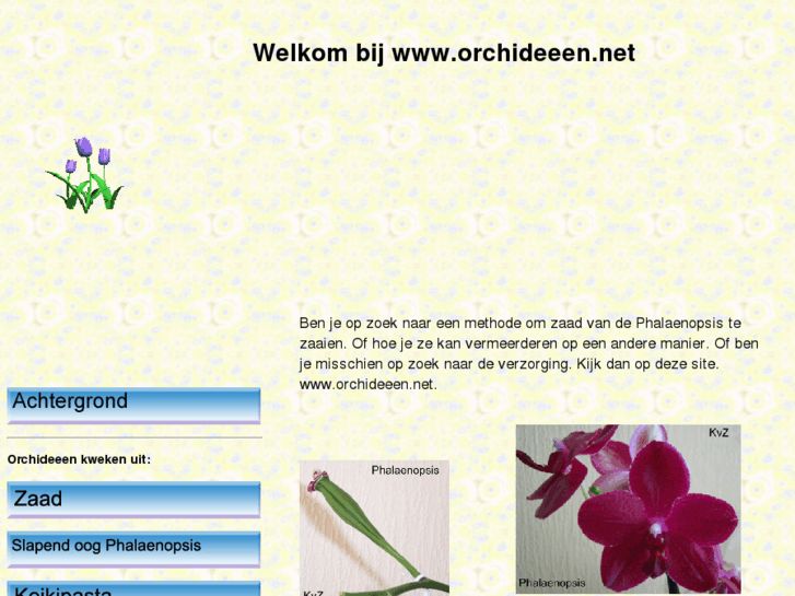 www.orchideeen.net