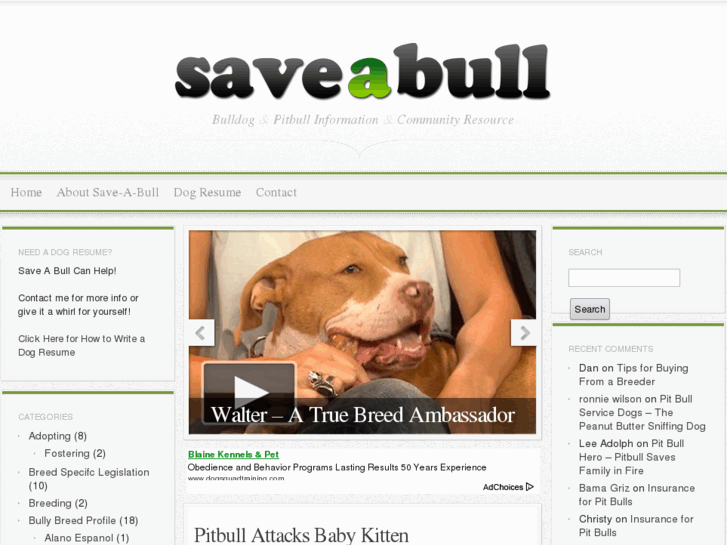 www.saveabull.com