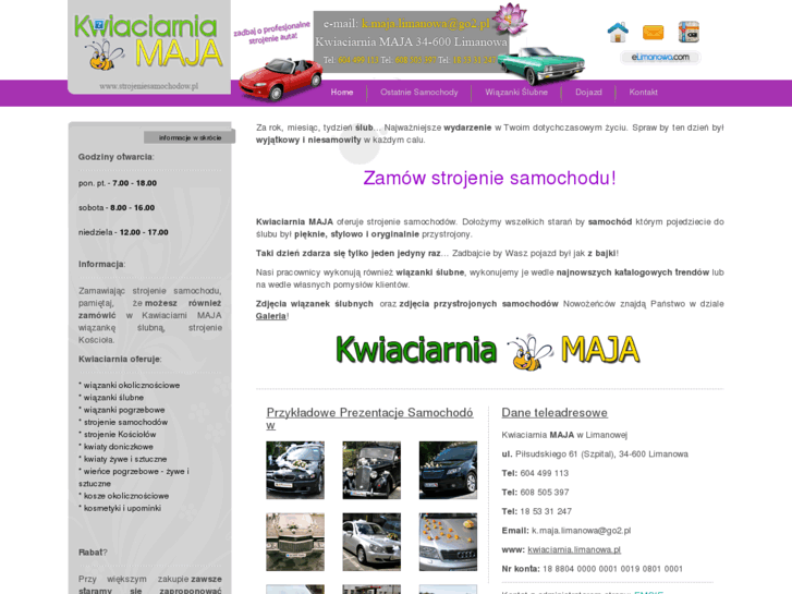 www.strojeniesamochodow.pl