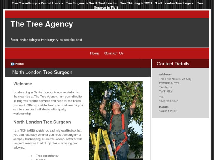 www.treesurgeoncentrallondon.com