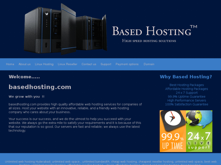 www.basedhosting.com