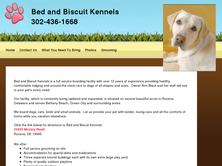 www.bedandbiscuitkennels.com