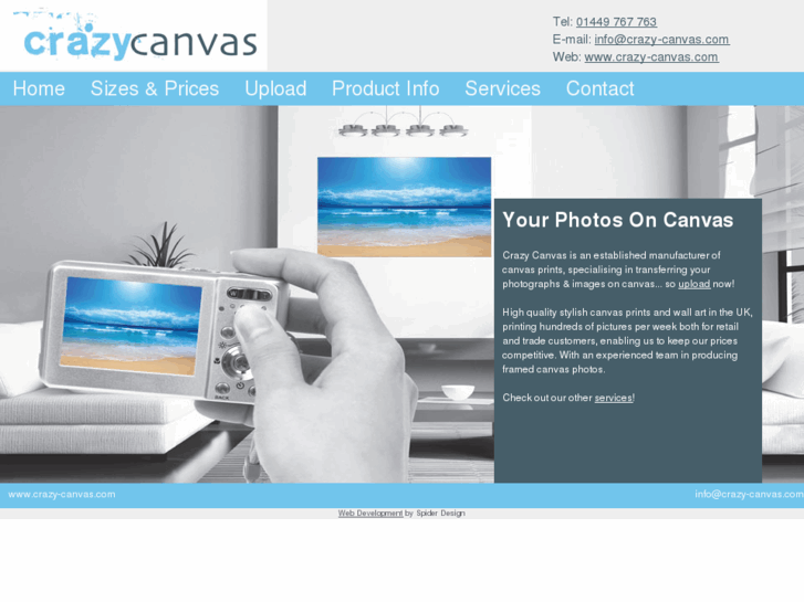 www.crazy-canvas.com