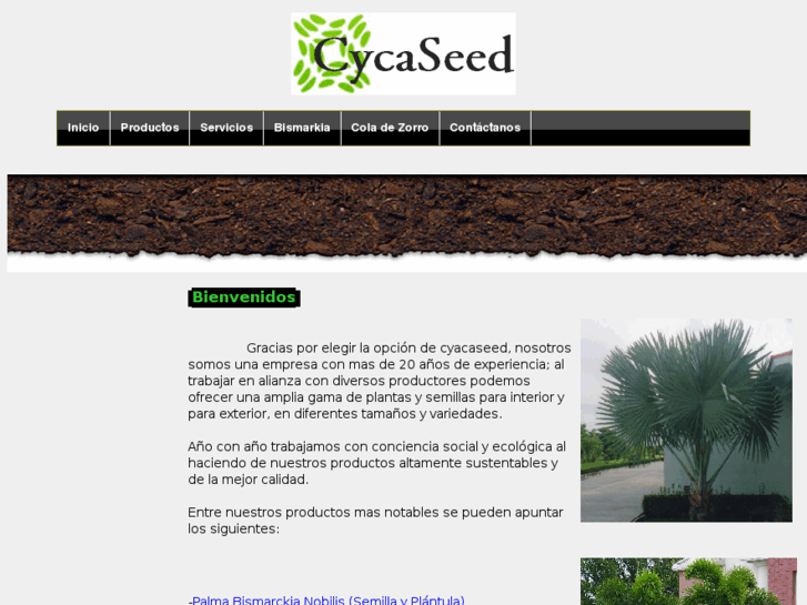 www.cycaseed.com