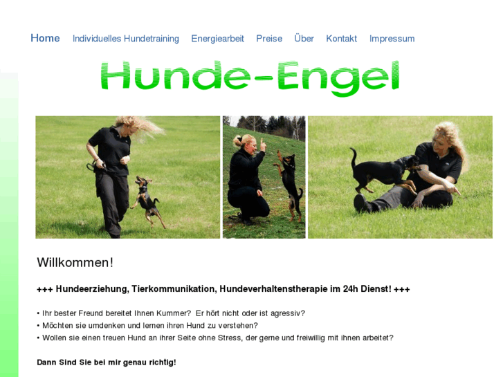 www.hunde-engel.com