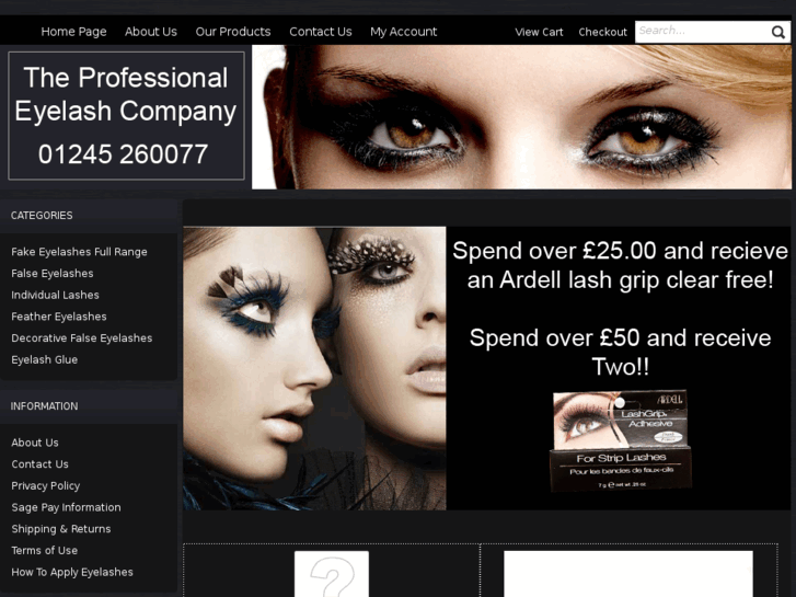 www.professionaleyelashes.co.uk