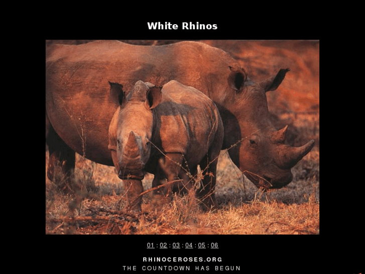 www.rhinoceroses.org