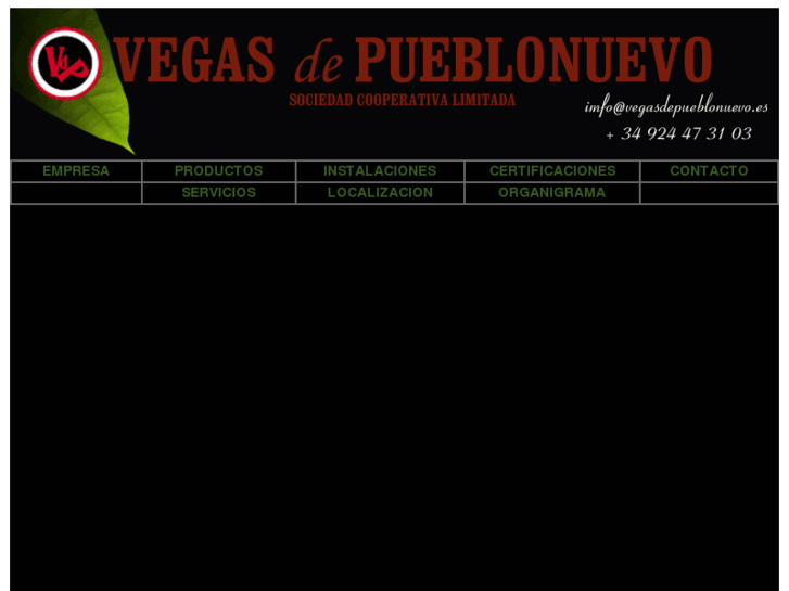 www.vegasdepueblonuevo.es