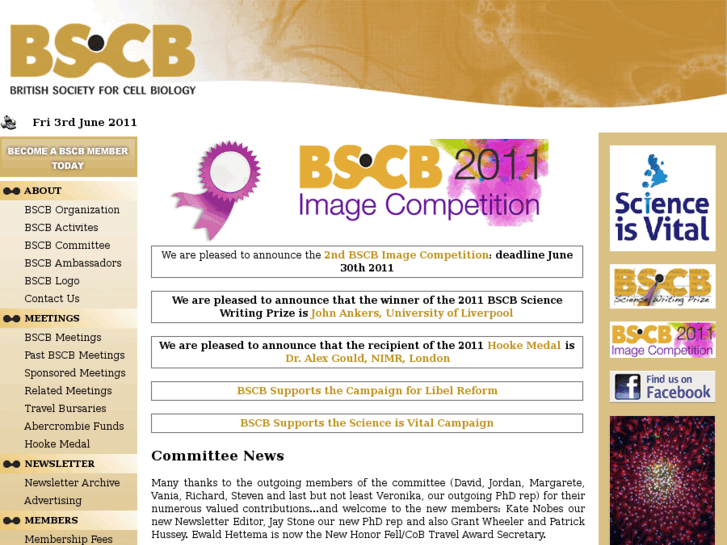 www.bscb.org