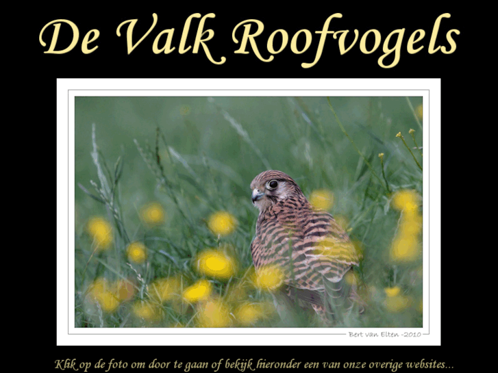 www.devalk-roofvogels.nl