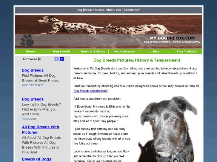 www.mydogbreeds.com