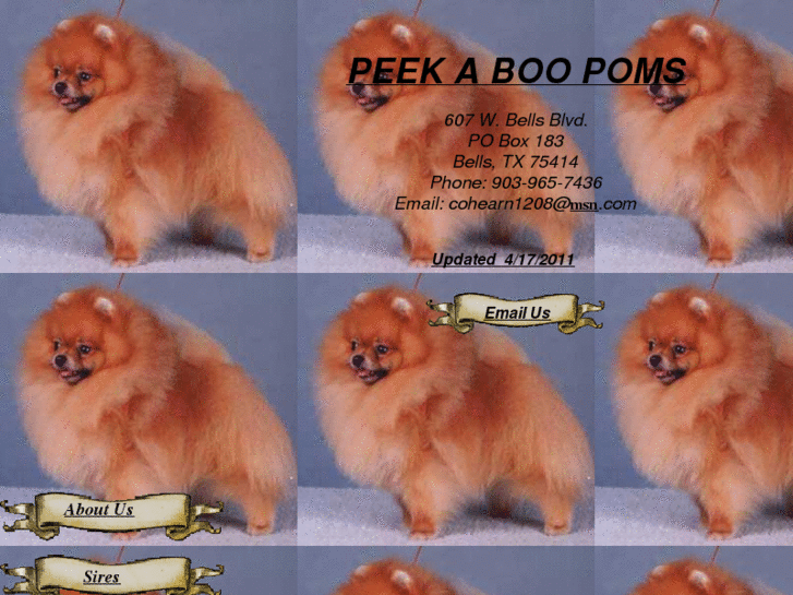 www.peekaboopoms.com