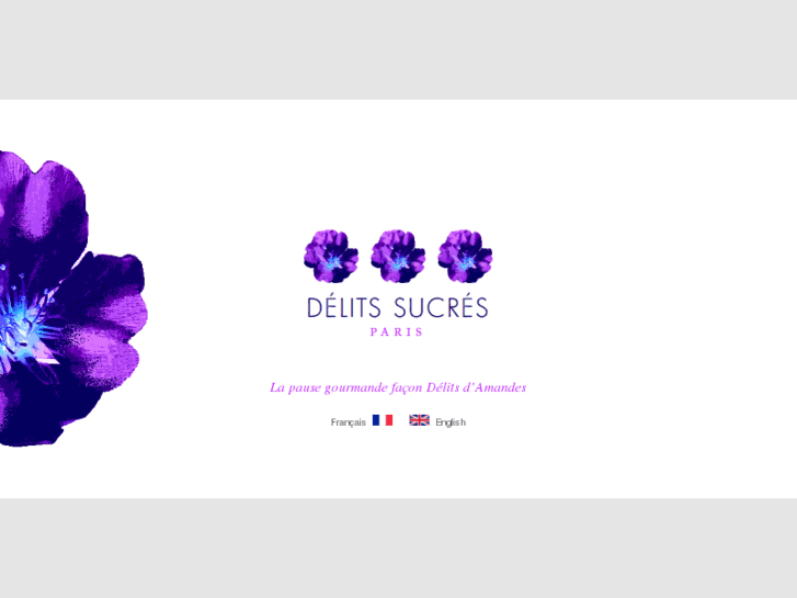 www.delits-sucres.com