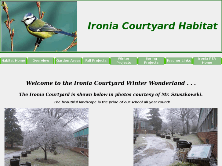 www.ironiacourtyardhabitat.org