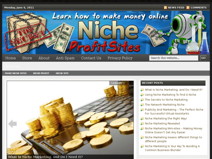 www.nicheprofitsites.net