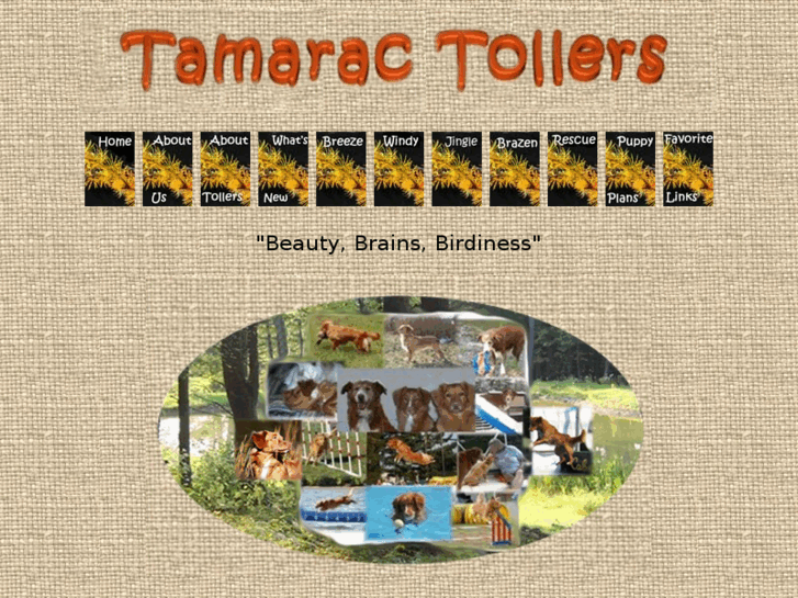 www.tamaractollers.com