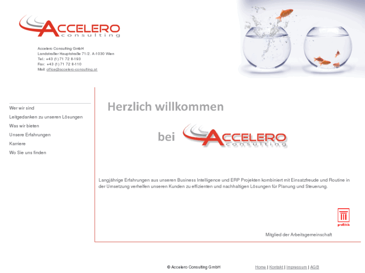 www.accelero-consulting.info