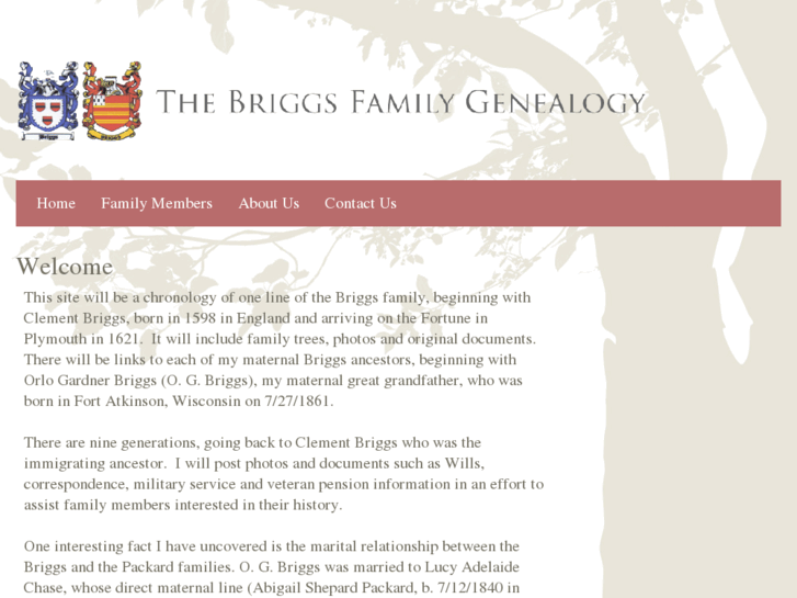 www.briggsfamilygenealogy.com
