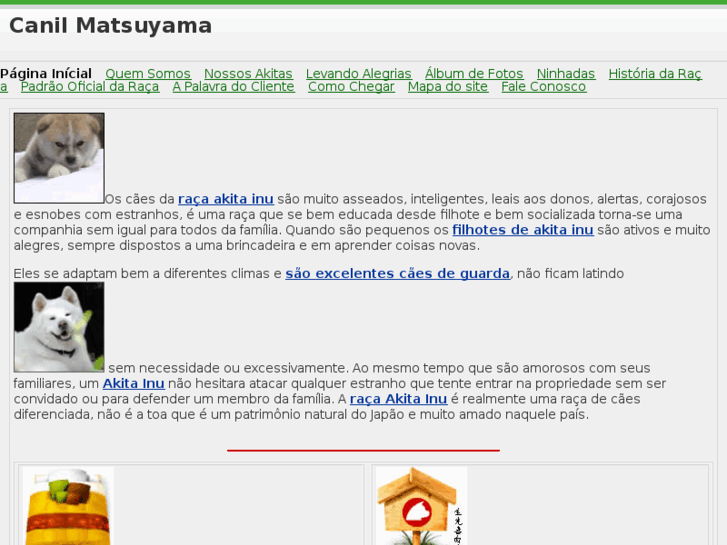 www.canilmatsuyama.com.br